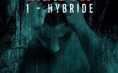 Knight of Shadow tome 1 : Hybride