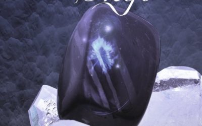 Lux tome 2 : Onyx