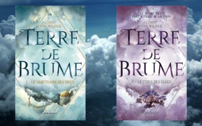Terre de Brume
