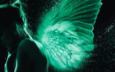Les ailes d’émeraude tome 1