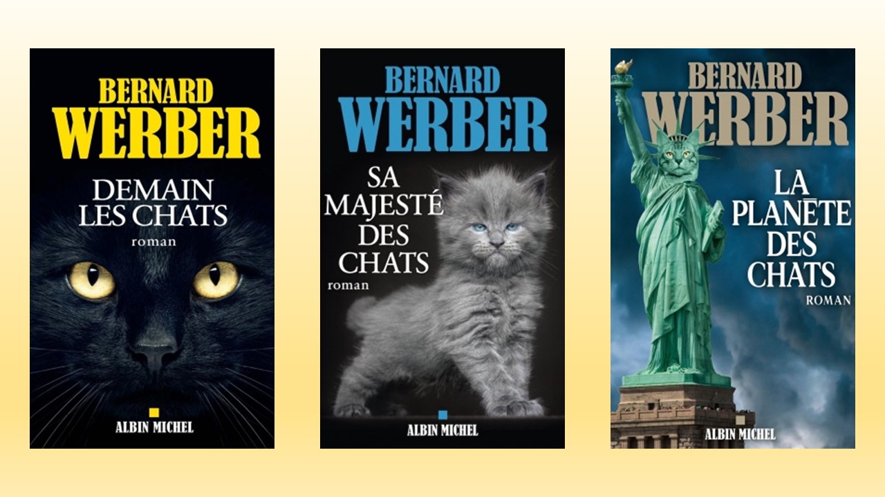 Cycle des chats 10 juin