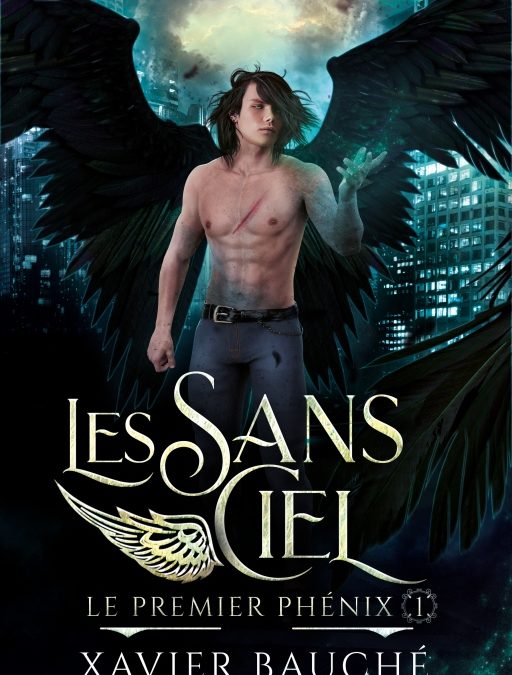 Le premier phénix tome 1 : Les Sans-Ciel