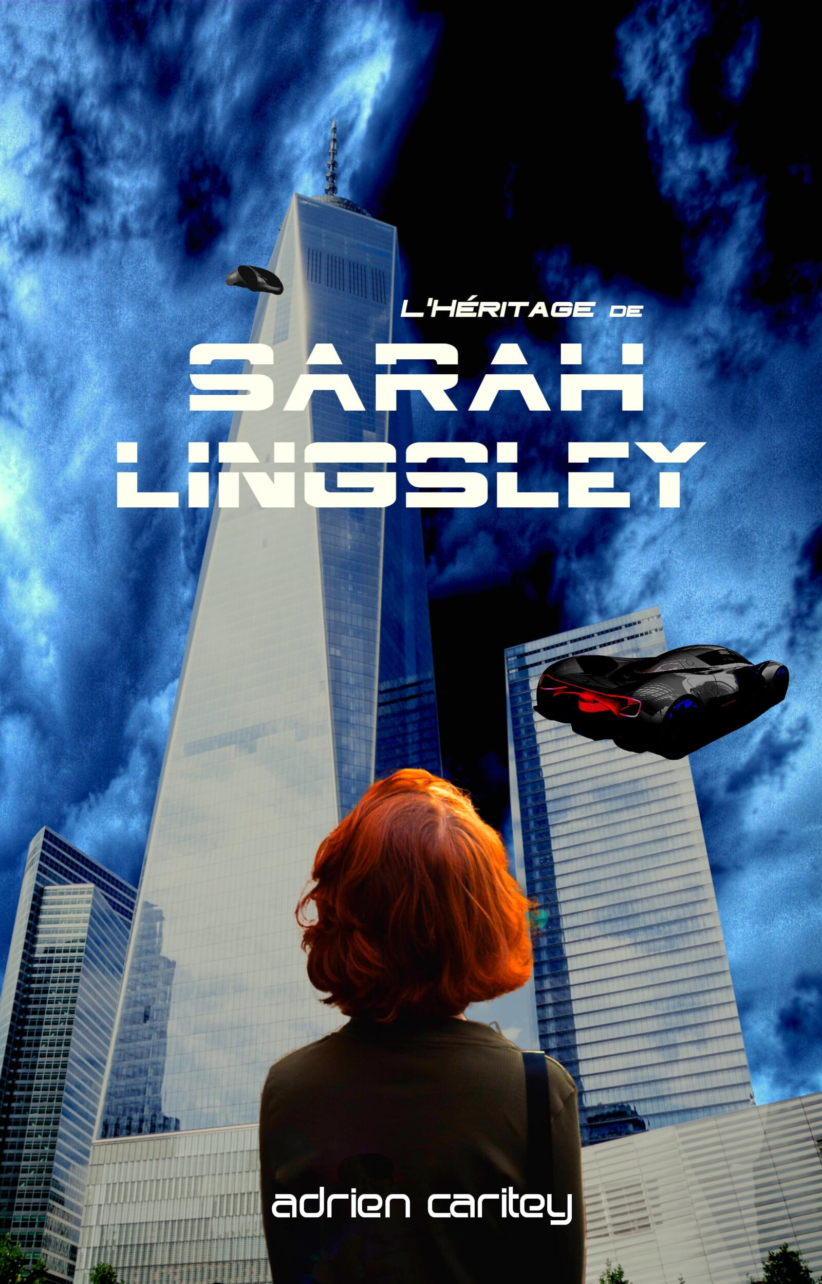 L'héritage de Sarah Lingsley