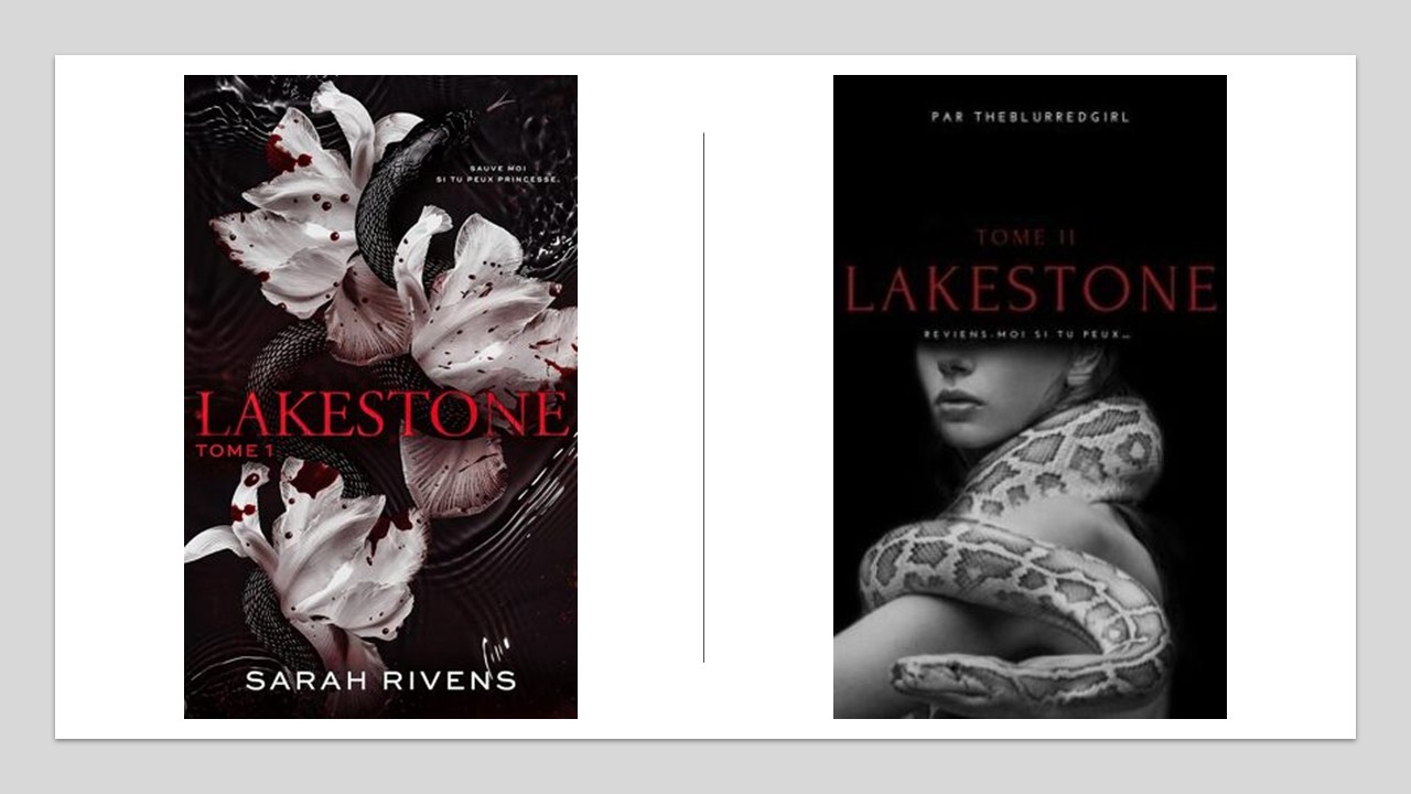 Lakestone 20 janvier