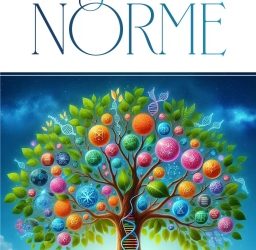 La seconde norme